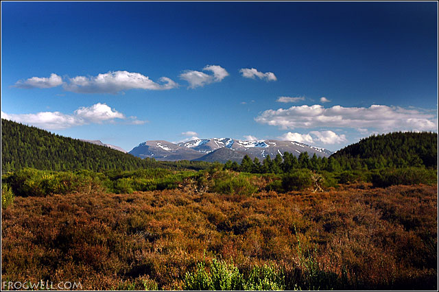 Cairngorms National Park.jpg